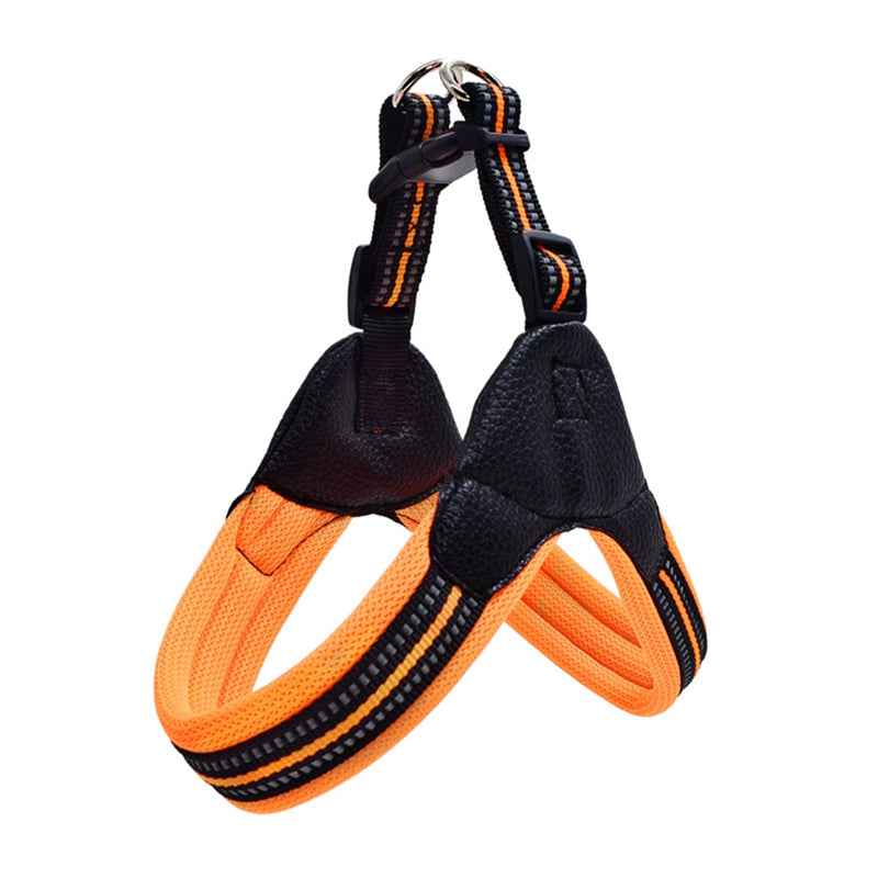 Reflective Dog Leash for Safety and Visibility