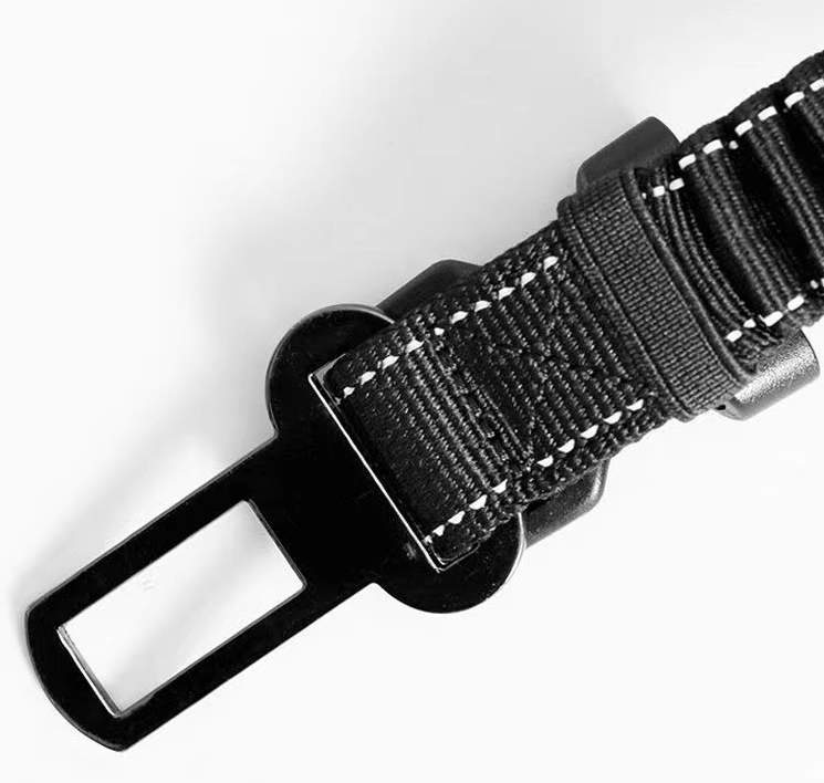 Leash, Harness, and Collar Set for Pets