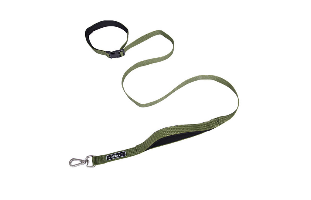 Leash, Harness, and Collar Set for Pets