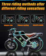 3000W Dual-Motor 48V60 Fahrrad All-Terrain Mountain E-Bike mit breiten Reifen für Erwachsene, geeignet für Schnee und Wüsten, Elektrofahrrad für Erwachsene - flohmarkt-deutschland.shop