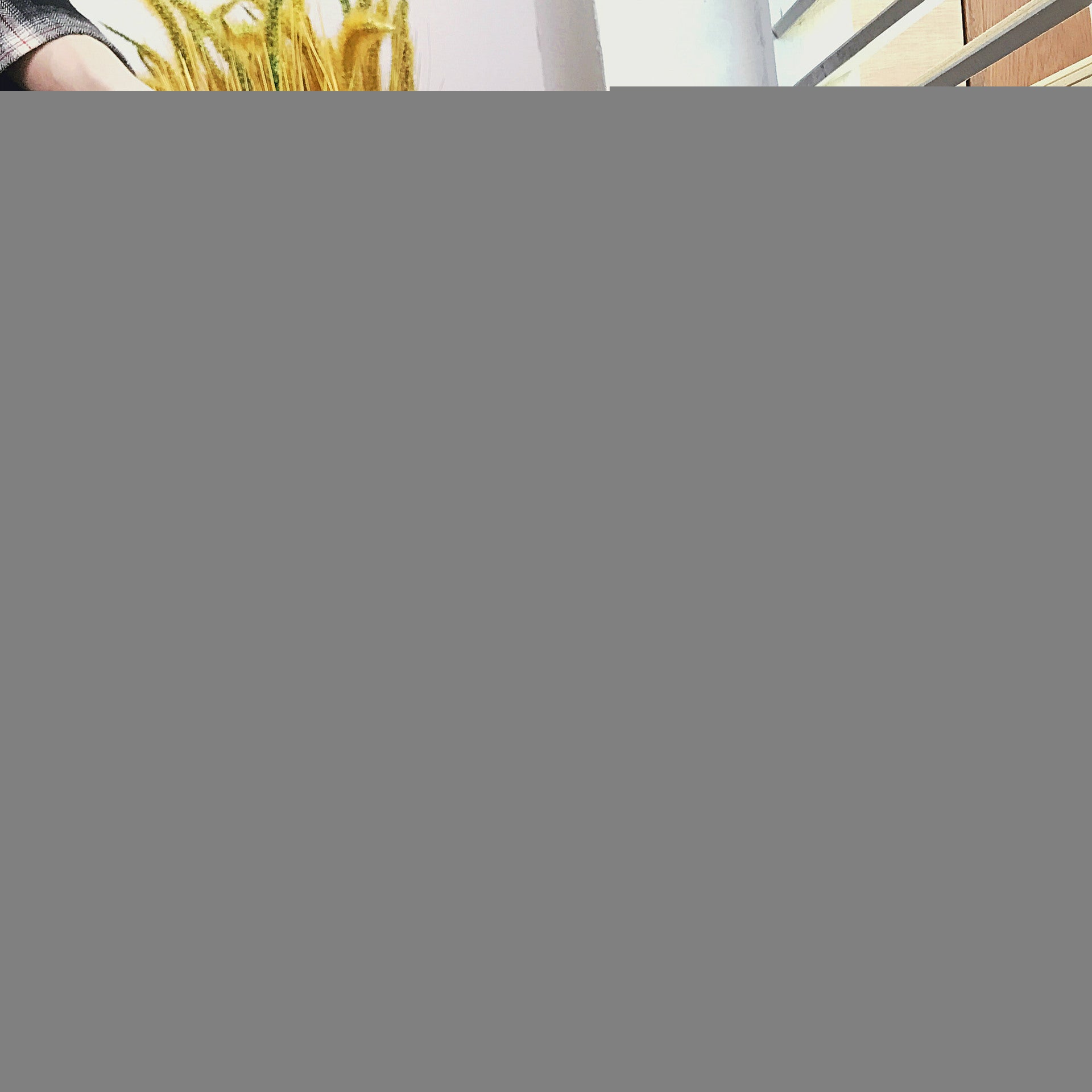 High-Top Sneakers, Sports Shoes, Casual Footwear