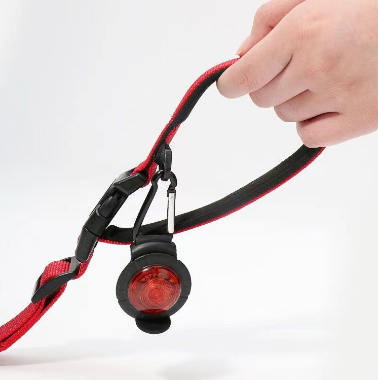 Leash, Harness, and Collar Set for Pets