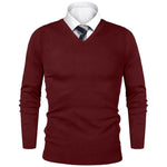 Animal Game Herren-Business-Pullover, lässiger Pullover mit V-Ausschnitt, kalte Bluse, leichter Wollstrick für den Außenbereich, luxuriöser Herrenpullover - flohmarkt-deutschland.shop