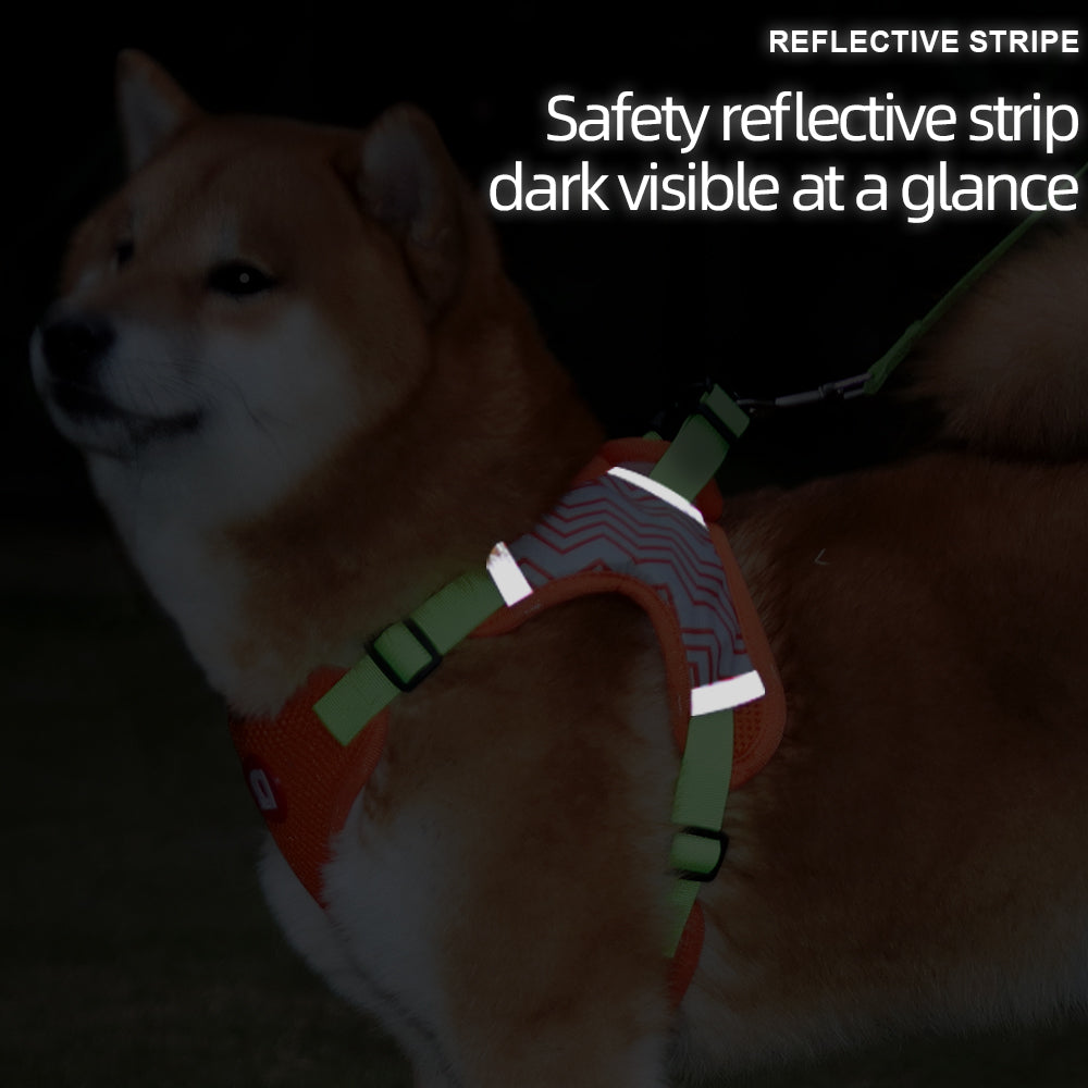 No Pull Dog Vest Harness and Leash Set for Pets