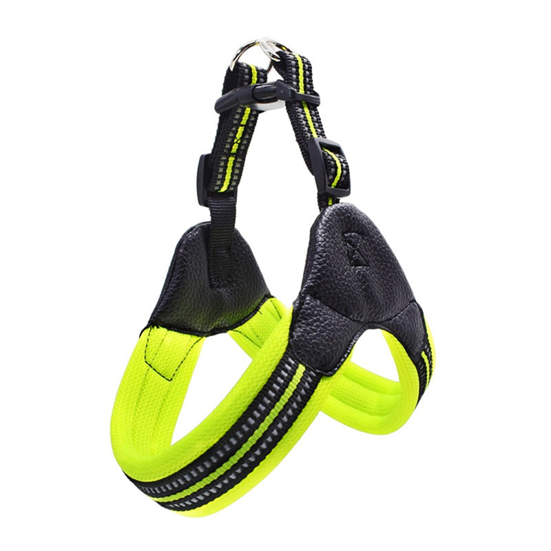 Reflective Dog Leash for Safety and Visibility