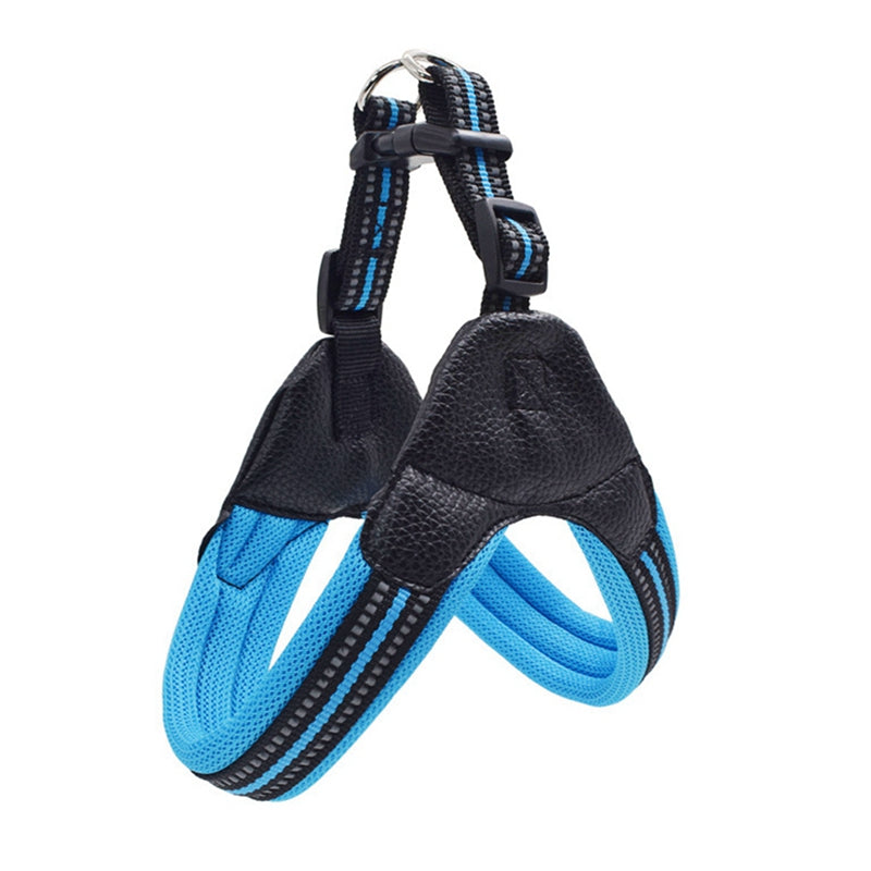 Reflective Dog Leash for Safety and Visibility