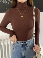 Frauen Herbst Rollkragenpullover Gestrickte Weiche Pullover Kaschmir Jumper Grundlegende Weiche Pullover Weibliche Grundlegende Bluse Neue - flohmarkt-deutschland.shop