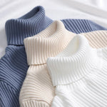 Frauen Herbst Rollkragenpullover Gestrickte Weiche Pullover Kaschmir Jumper Grundlegende Weiche Pullover Weibliche Grundlegende Bluse Neue - flohmarkt-deutschland.shop