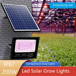 LED Pflanzenlampe 200W Vollspektrum Gewächshaus Hydrokultur - flohmarkt-deutschland.shop