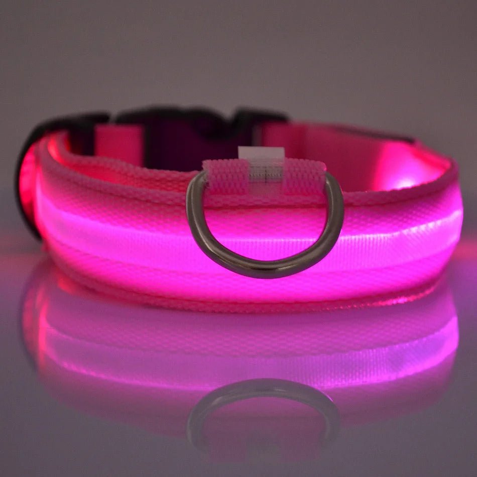 LichtPfote Nylon LED Nacht Sicherheitsleine - Leuchtet Im Dunkeln Und Erhöht Sichtbarkeit Beim Spazieren - flohmarkt-deutschland.shop