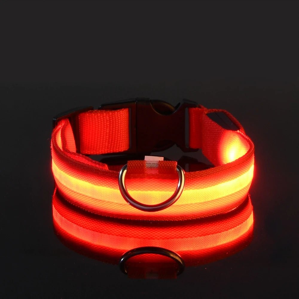 LichtPfote Nylon LED Nacht Sicherheitsleine - Leuchtet Im Dunkeln Und Erhöht Sichtbarkeit Beim Spazieren - flohmarkt-deutschland.shop