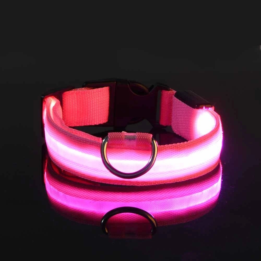 LichtPfote Nylon LED Nacht Sicherheitsleine - Leuchtet Im Dunkeln Und Erhöht Sichtbarkeit Beim Spazieren - flohmarkt-deutschland.shop