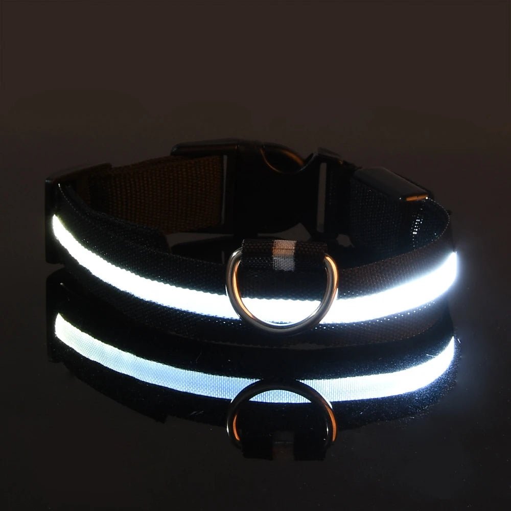 LichtPfote Nylon LED Nacht Sicherheitsleine - Leuchtet Im Dunkeln Und Erhöht Sichtbarkeit Beim Spazieren - flohmarkt-deutschland.shop