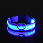 LichtPfote Nylon LED Nacht Sicherheitsleine - Leuchtet Im Dunkeln Und Erhöht Sichtbarkeit Beim Spazieren - flohmarkt-deutschland.shop