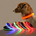 LichtPfote Nylon LED Nacht Sicherheitsleine - Leuchtet Im Dunkeln Und Erhöht Sichtbarkeit Beim Spazieren - flohmarkt-deutschland.shop