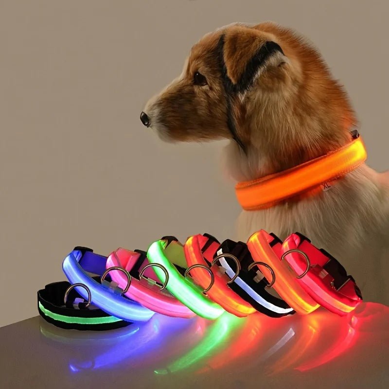 LichtPfote Nylon LED Nacht Sicherheitsleine - Leuchtet Im Dunkeln Und Erhöht Sichtbarkeit Beim Spazieren - flohmarkt-deutschland.shop