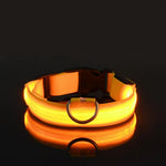LumiPet Nylon LED Nacht Sicherheits Leine Halsband - Leuchtet Im Dunkeln Und Blinkt Für Mehr Sichtbarkeit - flohmarkt-deutschland.shop