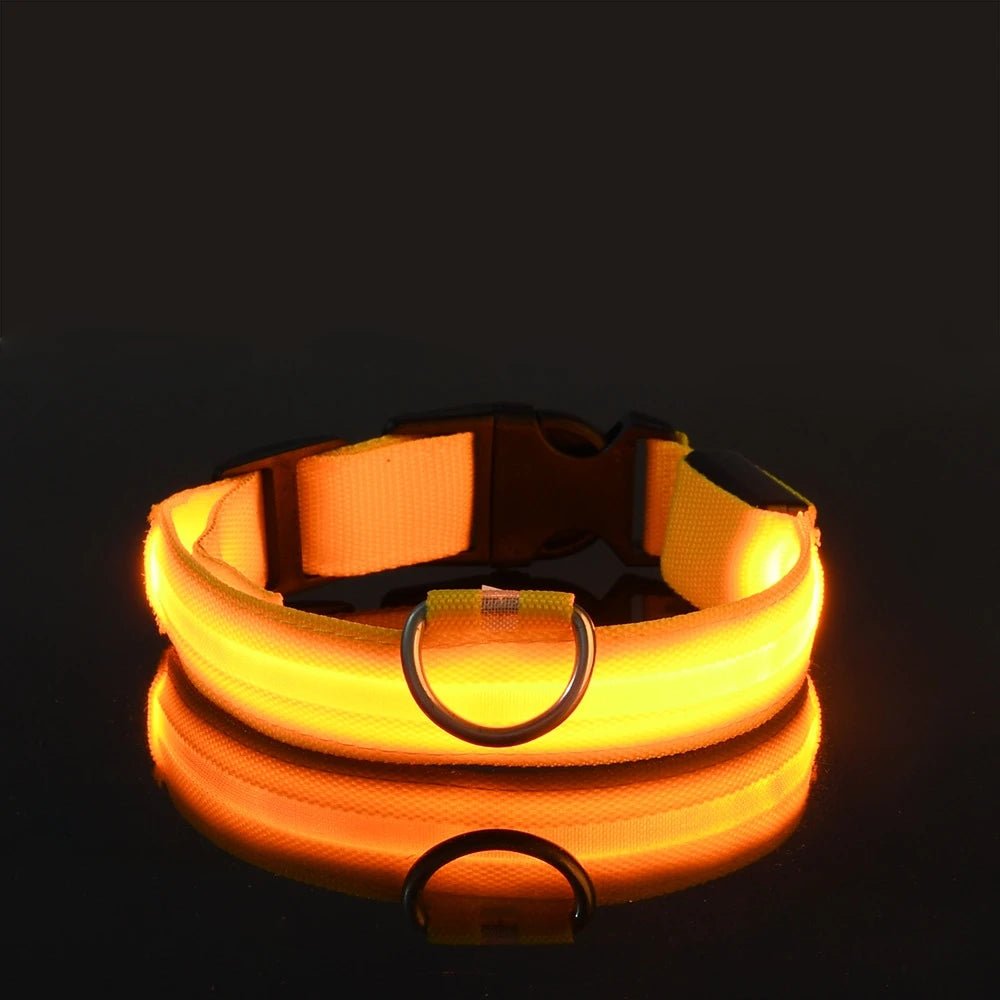 LumiPet Nylon LED Nacht Sicherheits Leine Halsband - Leuchtet Im Dunkeln Und Blinkt Für Mehr Sichtbarkeit - flohmarkt-deutschland.shop