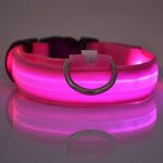 LumiPet Nylon LED Nacht Sicherheits Leine Halsband - Leuchtet Im Dunkeln Und Blinkt Für Mehr Sichtbarkeit - flohmarkt-deutschland.shop