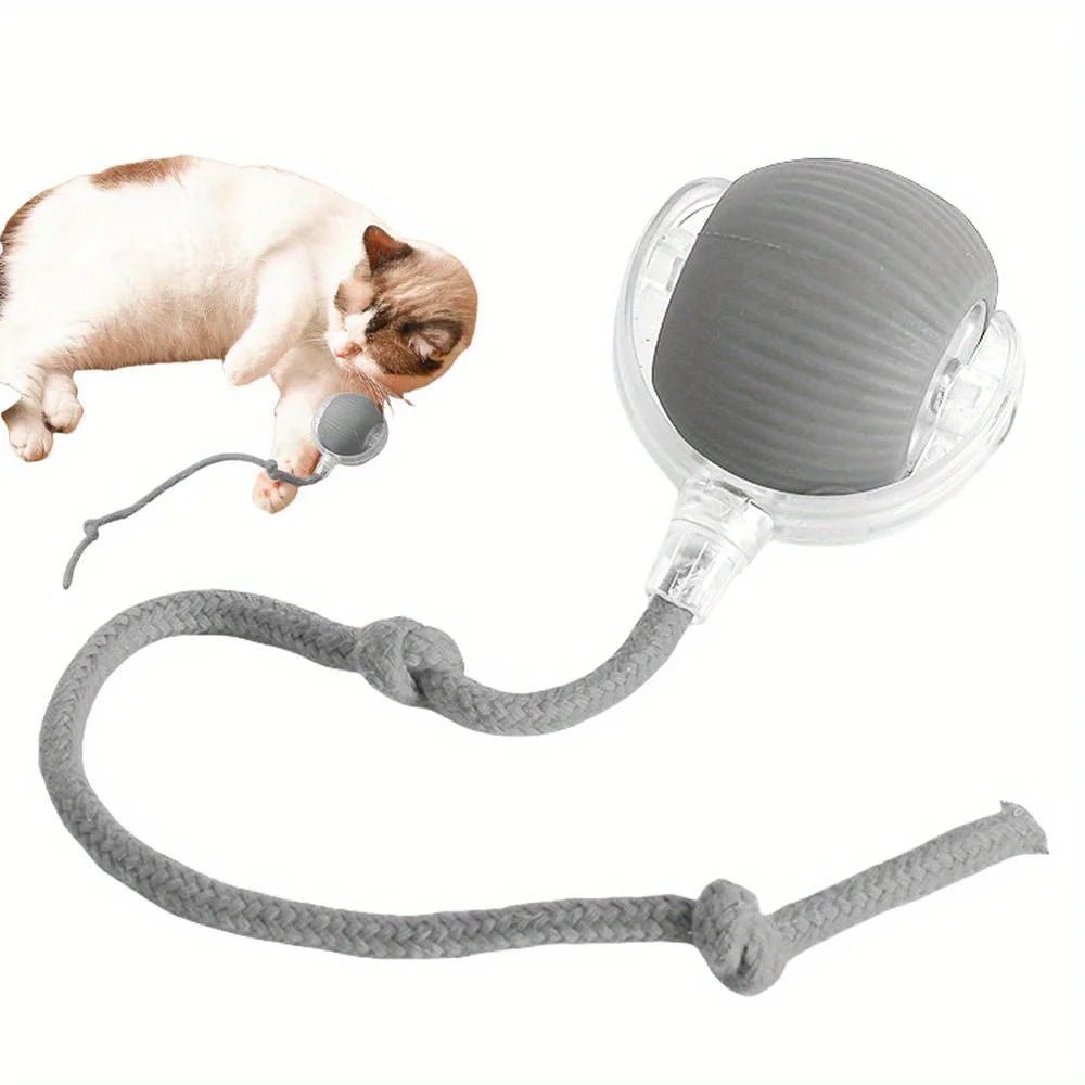 PawNova Intelligentes Interaktives Katzenball Spielzeug - Wiederaufladbar Automatisches Ballspiel Mit Schwanzimitation - flohmarkt-deutschland.shop