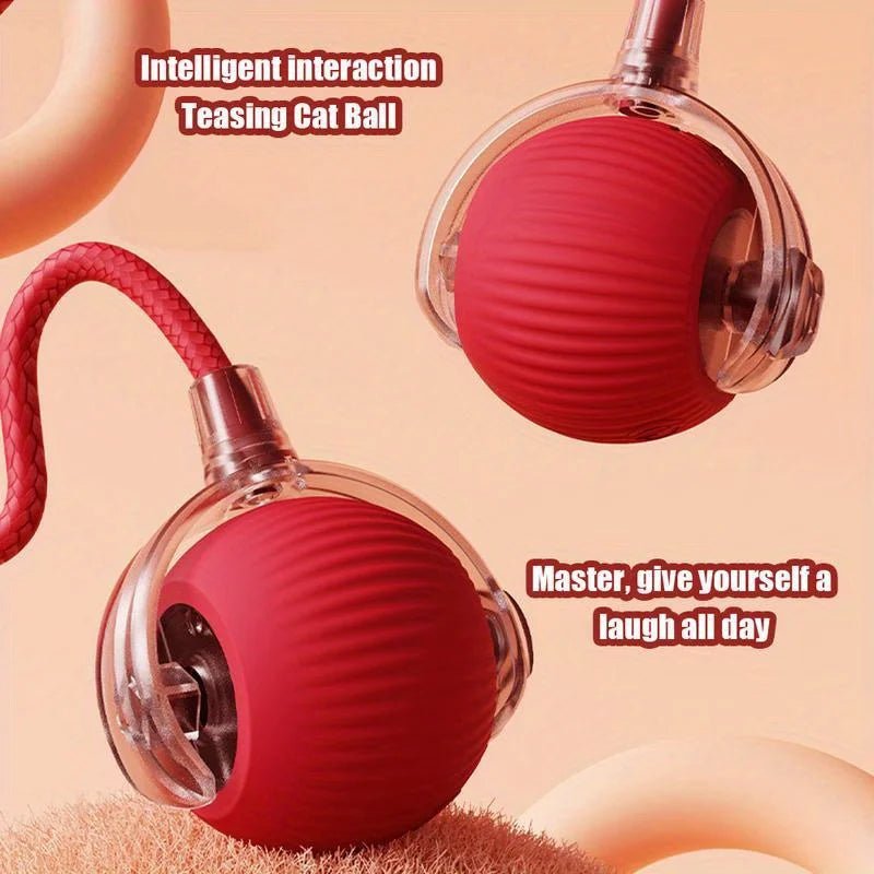 PawNova Intelligentes Interaktives Katzenball Spielzeug - Wiederaufladbar Automatisches Ballspiel Mit Schwanzimitation - flohmarkt-deutschland.shop