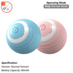 PetTech Interaktives Ballspielzeug Katze Hund - Automatischer Rollender Ball Mit Schwanz Nachahmung Und Wiederaufladbar - flohmarkt-deutschland.shop