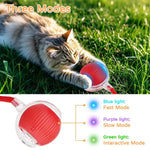 PetTech Interaktives Ballspielzeug Katze Hund - Automatischer Rollender Ball Mit Schwanz Nachahmung Und Wiederaufladbar - flohmarkt-deutschland.shop