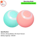 PetTech Interaktives Ballspielzeug Katze Hund - Automatischer Rollender Ball Mit Schwanz Nachahmung Und Wiederaufladbar - flohmarkt-deutschland.shop