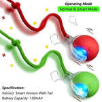 PetTech Interaktives Ballspielzeug Katze Hund - Automatischer Rollender Ball Mit Schwanz Nachahmung Und Wiederaufladbar - flohmarkt-deutschland.shop