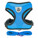 PfotenGlück Verstellbares Katzen Hund Geschirr Weste Mesh - Bequem Und Sicher Für Kleine Bis Mittelgroße Haustiere - flohmarkt-deutschland.shop