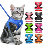 PfotenGlück Verstellbares Katzen Hund Geschirr Weste Mesh - Bequem Und Sicher Für Kleine Bis Mittelgroße Haustiere - flohmarkt-deutschland.shop
