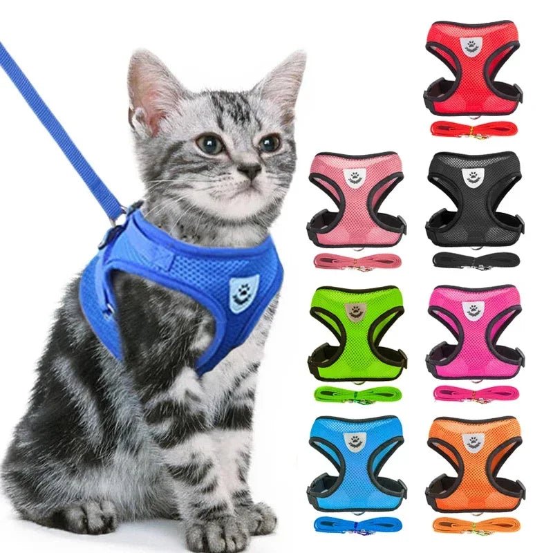 PfotenGlück Verstellbares Katzen Hund Geschirr Weste Mesh - Bequem Und Sicher Für Kleine Bis Mittelgroße Haustiere - flohmarkt-deutschland.shop