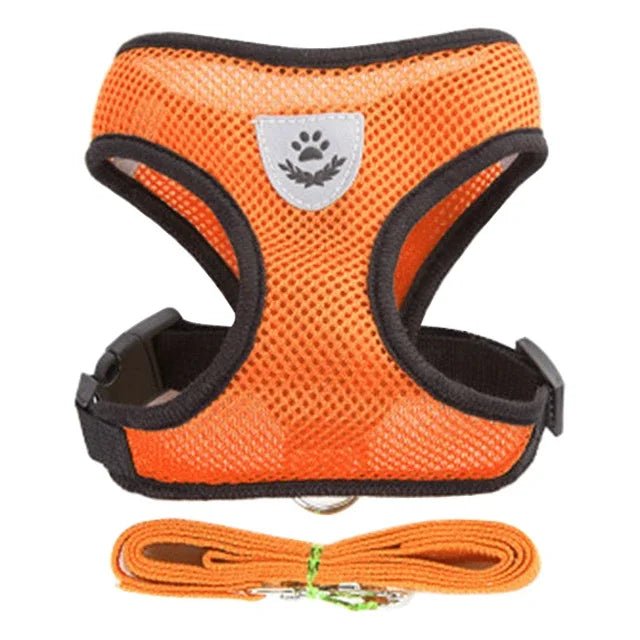 PfotenGlück Verstellbares Katzen Hund Geschirr Weste Mesh - Bequem Und Sicher Für Kleine Bis Mittelgroße Haustiere - flohmarkt-deutschland.shop