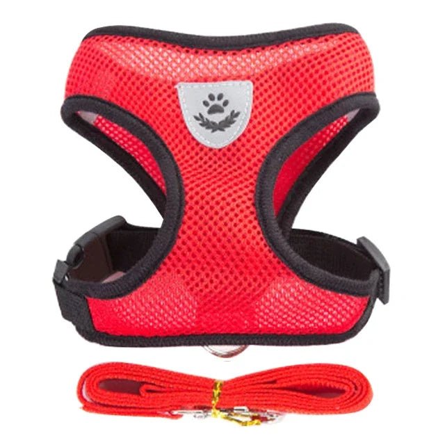 PfotenGlück Verstellbares Katzen Hund Geschirr Weste Mesh - Bequem Und Sicher Für Kleine Bis Mittelgroße Haustiere - flohmarkt-deutschland.shop