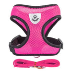 PfotenGlück Verstellbares Katzen Hund Geschirr Weste Mesh - Bequem Und Sicher Für Kleine Bis Mittelgroße Haustiere - flohmarkt-deutschland.shop