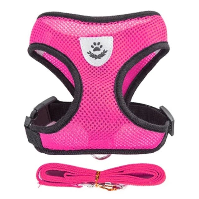 PfotenGlück Verstellbares Katzen Hund Geschirr Weste Mesh - Bequem Und Sicher Für Kleine Bis Mittelgroße Haustiere - flohmarkt-deutschland.shop