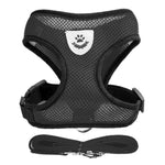 PfotenGlück Verstellbares Katzen Hund Geschirr Weste Mesh - Bequem Und Sicher Für Kleine Bis Mittelgroße Haustiere - flohmarkt-deutschland.shop