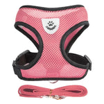 PfotenGlück Verstellbares Katzen Hund Geschirr Weste Mesh - Bequem Und Sicher Für Kleine Bis Mittelgroße Haustiere - flohmarkt-deutschland.shop