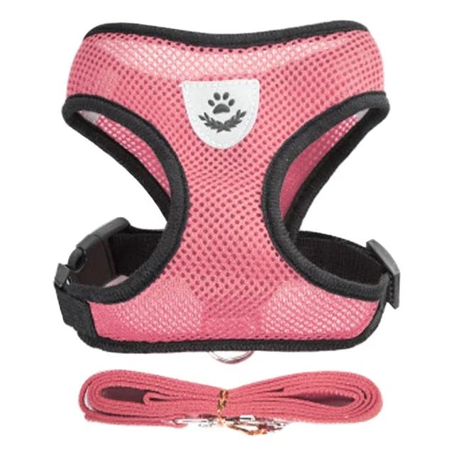 PfotenGlück Verstellbares Katzen Hund Geschirr Weste Mesh - Bequem Und Sicher Für Kleine Bis Mittelgroße Haustiere - flohmarkt-deutschland.shop