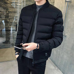 Schmal geschnittene Herren-Baumwolljacke für den Winter mit Stehkragen - flohmarkt-deutschland.shop