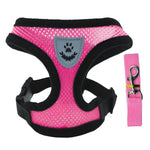 SunnyPaws Belüftetes Brust Und Rücken Geschirr Für Kleine Hunde Und Katzen - Leichtes Sommerstil Für Outdoor Komfort - flohmarkt-deutschland.shop