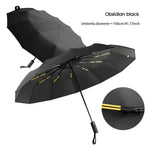 UrbanShield Verstärkter 24-Rippen Business Regenschirm - Windresistent Und UV-Schutz Für Männer Und Frauen - flohmarkt-deutschland.shop