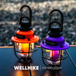 Wellhike Tannenzapfen Campinglampe – Mini Zeltlicht & Atmosphäre - flohmarkt-deutschland.shop